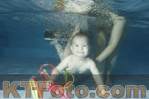 Photo 4305047