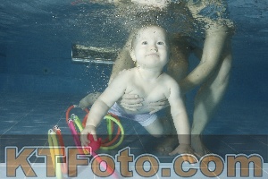 Photo 4305048