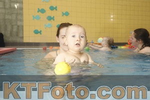 Photo 4305089