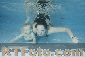Photo 4305095