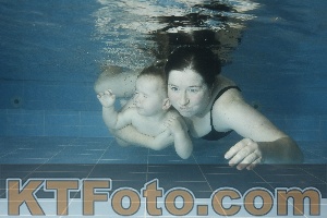 Photo 4305106