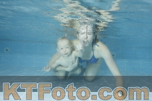 Photo 4305109