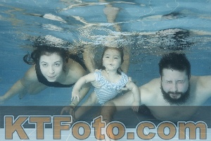 Photo 4305122