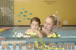 Photo 4305208