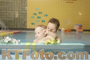 Photo 4305224