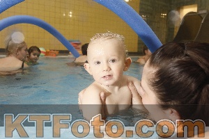 Photo 4305238