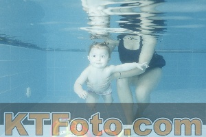 Photo 4305280