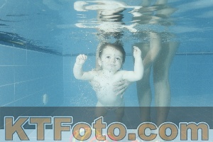 Photo 4305282