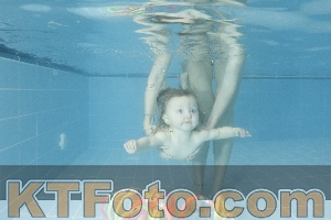 Photo 4305285