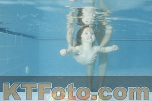 Photo 4305286