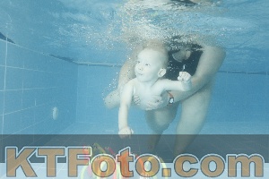 Photo 4305288
