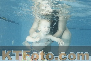 Photo 4305290