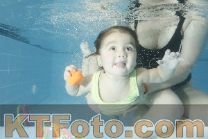 Photo 4305293