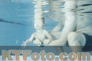Photo 4305294