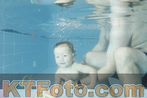Photo 4305295