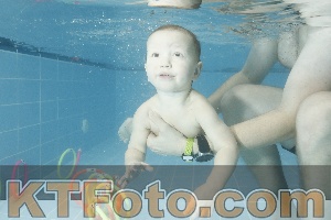 Photo 4305297