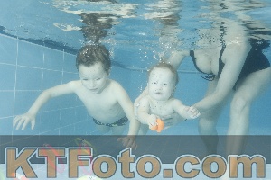 Photo 4305298