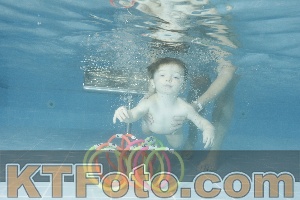 Photo 4305304