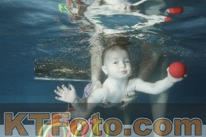 Photo 4305306