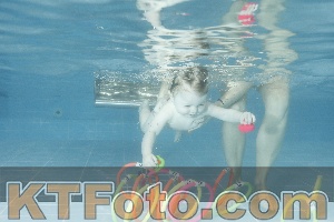Photo 4305307