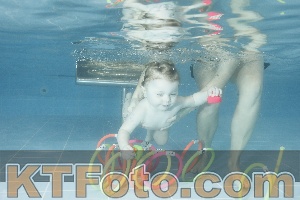 Photo 4305308
