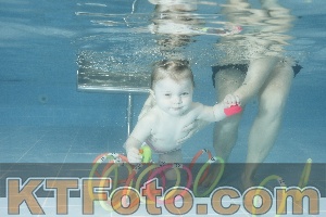 Photo 4305309