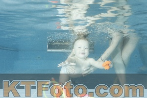 Photo 4305312