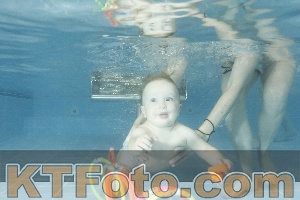 Photo 4305313
