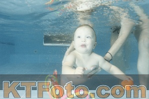 Photo 4305314