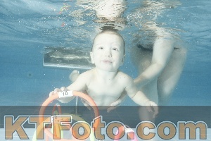 Photo 4305316