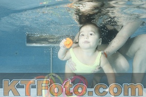 Photo 4305318