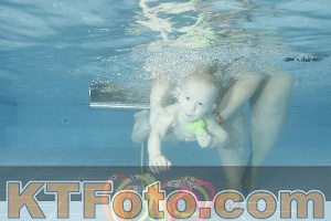 Photo 4305319