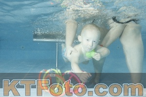 Photo 4305320