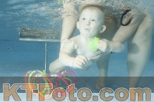 Photo 4305321