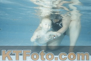 Photo 4305365