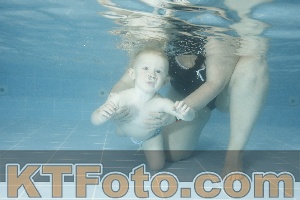 Photo 4305366