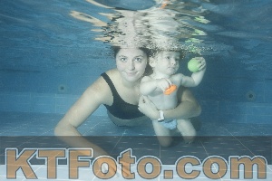 Photo 4305371