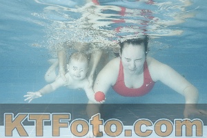 Photo 4305375
