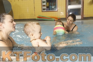 Photo 4305384