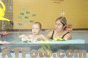 Photo 4305423