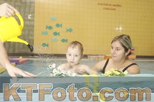 Photo 4305424