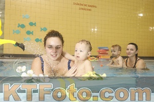 Photo 4305426