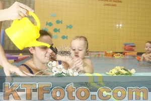 Photo 4305427