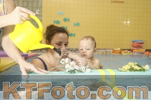 Photo 4305428