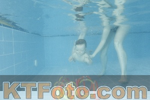 Photo 4305475