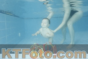 Photo 4305476