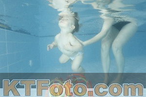 Photo 4305477