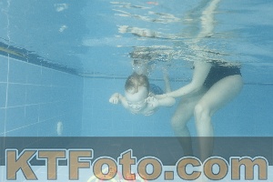 Photo 4305478