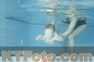 Photo 4305479