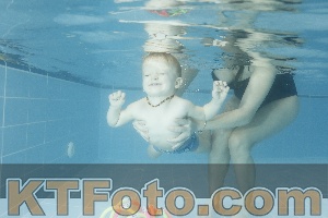 Photo 4305480
